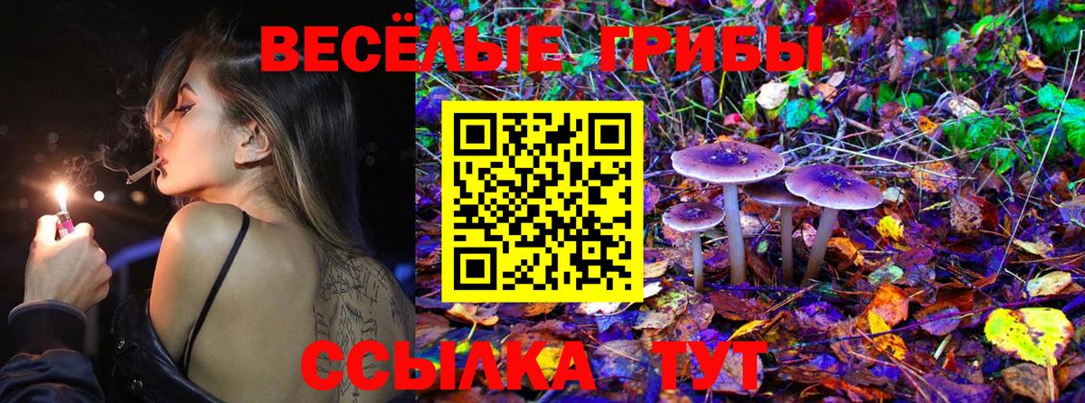 Галлюциногенные грибы Cubensis Армавир