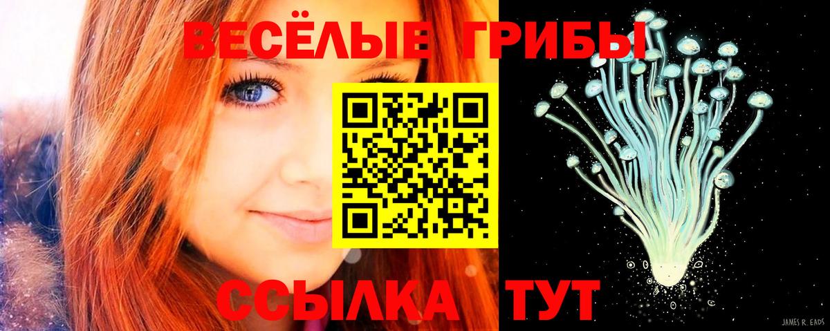 Псилоцибиновые грибы мицелий  Вход с VPN  Армавир 